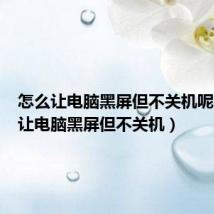 怎么让电脑黑屏但不关机呢(怎么让电脑黑屏但不关机)