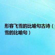 形容飞雪的比喻句古诗(形容飞雪的比喻句)