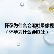 怀孕为什么会呕吐录像视频介绍(怀孕为什么会呕吐)