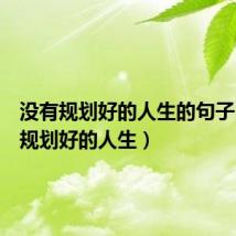 没有规划好的人生的句子(没有规划好的人生)