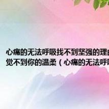 心痛的无法呼吸找不到坚强的理由再也感觉不到你的温柔(心痛的无法呼吸)