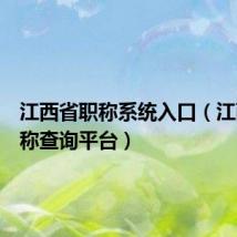 江西省职称系统入口(江西省职称查询平台)
