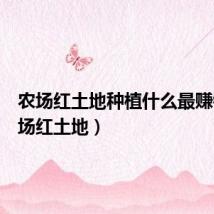 农场红土地种植什么最赚钱(农场红土地)