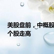 美股盘前，中概股部分个股走高