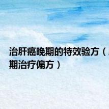 治肝癌晚期的特效验方(肝癌晚期治疗偏方)