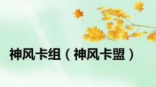 神风卡组（神风卡盟）
