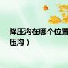 降压沟在哪个位置（降压沟）