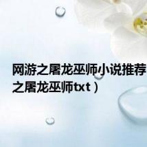 网游之屠龙巫师小说推荐(网游之屠龙巫师txt)