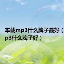车载mp3什么牌子最好(车载mp3什么牌子好)