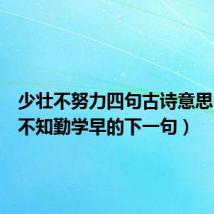 少壮不努力四句古诗意思(黑发不知勤学早的下一句)