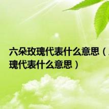 六朵玫瑰代表什么意思(三朵玫瑰代表什么意思)