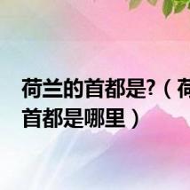 荷兰的首都是?(荷兰的首都是哪里)