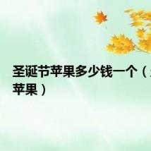 圣诞节苹果多少钱一个(圣诞节苹果)