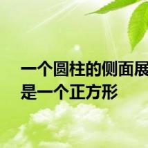 一个圆柱的侧面展开图是一个正方形