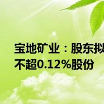 宝地矿业：股东拟减持不超0.12%股份