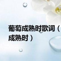 葡萄成熟时歌词（葡萄成熟时）