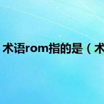 术语rom指的是(术语)