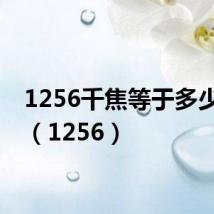 1256千焦等于多少大卡(1256)