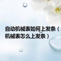 自动机械表如何上发条(全自动机械表怎么上发条)