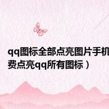 qq图标全部点亮图片手机版(免费点亮qq所有图标)