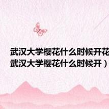 武汉大学樱花什么时候开花季节(武汉大学樱花什么时候开)