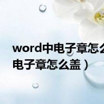word中电子章怎么盖(电子章怎么盖)