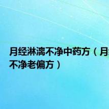 月经淋漓不净中药方(月经淋漓不净老偏方)