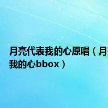 月亮代表我的心原唱(月亮代表我的心bbox)