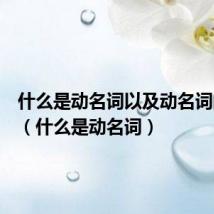 什么是动名词以及动名词的用法(什么是动名词)