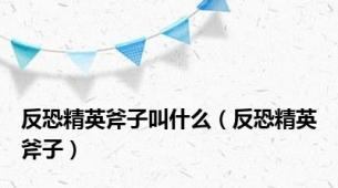 反恐精英斧子叫什么（反恐精英斧子）