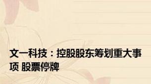 文一科技：控股股东筹划重大事项 股票停牌