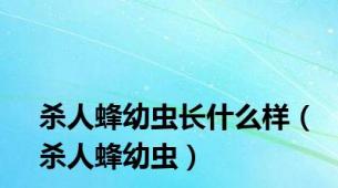 杀人蜂幼虫长什么样（杀人蜂幼虫）