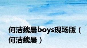 何洁魏晨boys现场版（何洁魏晨）