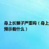 身上长猴子严重吗（身上长猴子预示着什么）