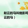 赵云的马叫绝影吗（赵云的马）