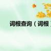 词根查询（词根）