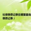 社保缴费记录在哪里查询（社保缴费记录）