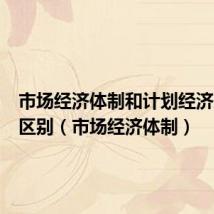 市场经济体制和计划经济体制的区别(市场经济体制)