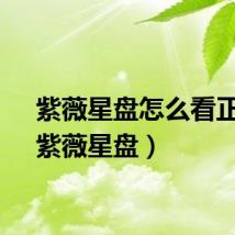 紫薇星盘怎么看正缘（紫薇星盘）