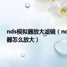 nds模拟器放大滤镜(nds模拟器怎么放大)