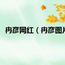冉彦网红（冉彦图片）