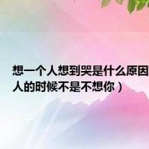 想一个人想到哭是什么原因(一个人的时候不是不想你)