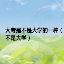 大专是不是大学的一种(大专是不是大学)