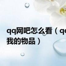 qq网吧怎么看（qq网吧我的物品）