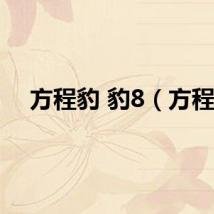 方程豹 豹8（方程）