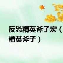 反恐精英斧子宏（反恐精英斧子）