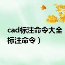 cad标注命令大全(cad标注命令)