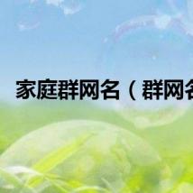 家庭群网名（群网名）