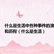 什么是生活中各种事件的演进方向和历程(什么是生活)