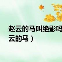 赵云的马叫绝影吗（赵云的马）